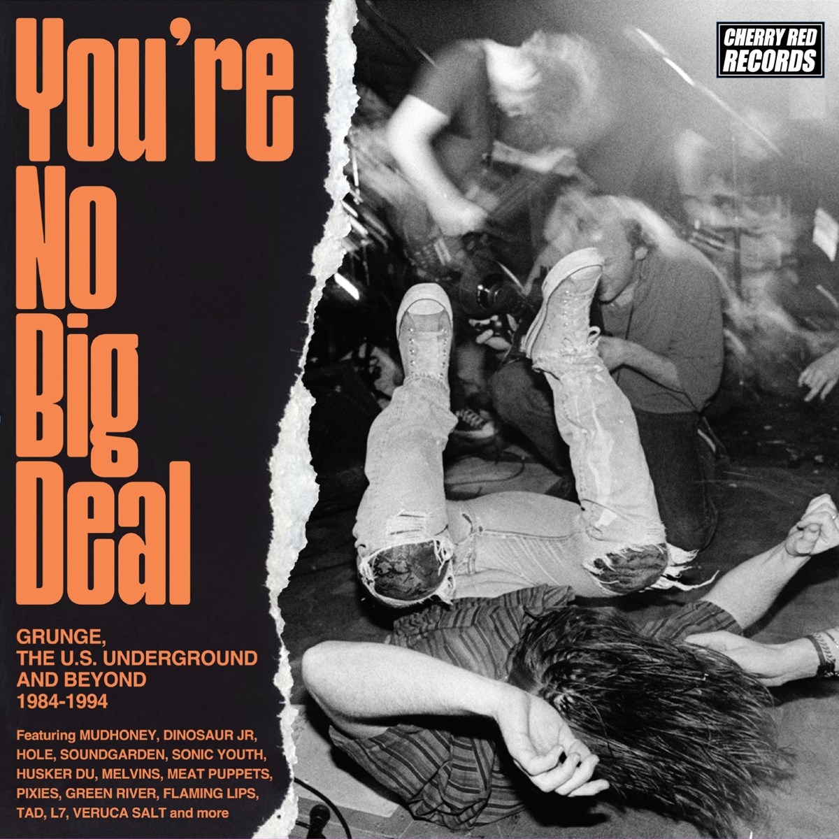 Afbeelding van Various Artists - You're No Big Deal: Grunge, The U.S. Underground And Beyond 1984-1994